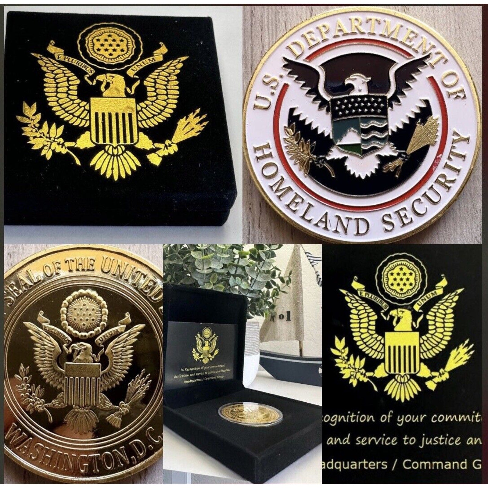 US Department Of Home land Security Challenge Coin USA