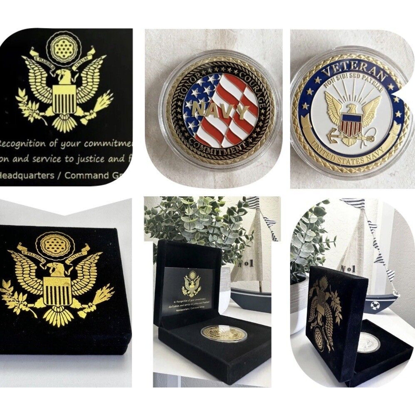 U.S. Navy Vietnam Veteran Challenge Coin. USN