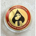 MARSOC - Marine Corps Special Operations Command Joint SF Coin