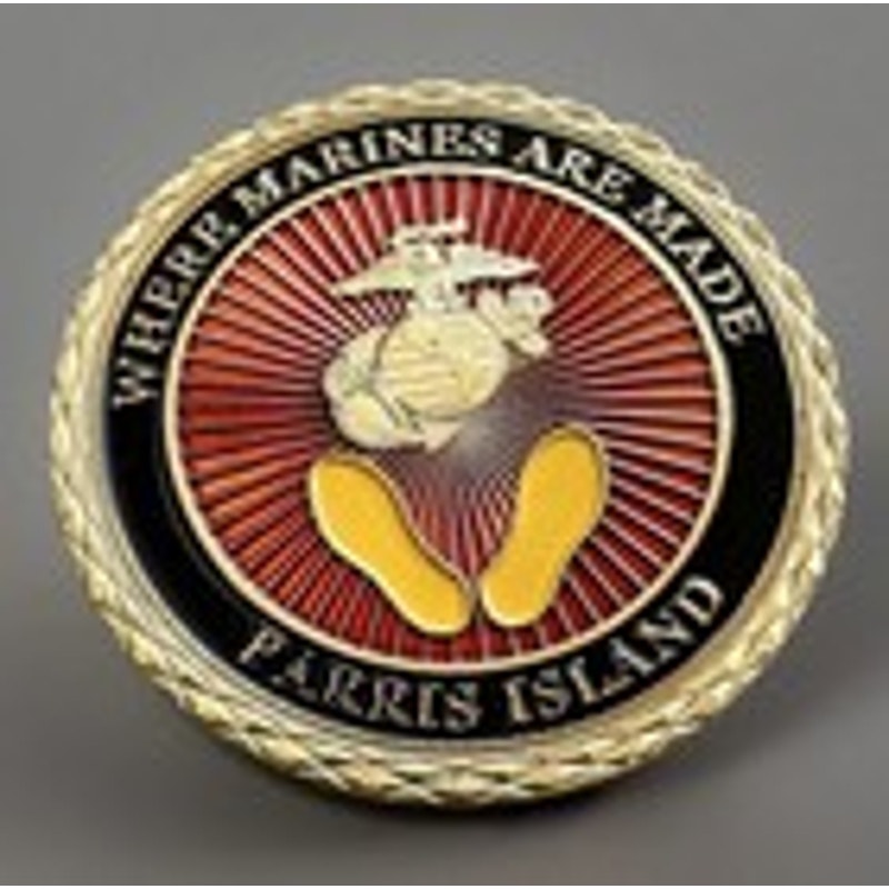 Department of Energy (DOE) Challenge Coin With Blue Velvet Case. Fast Shipping!