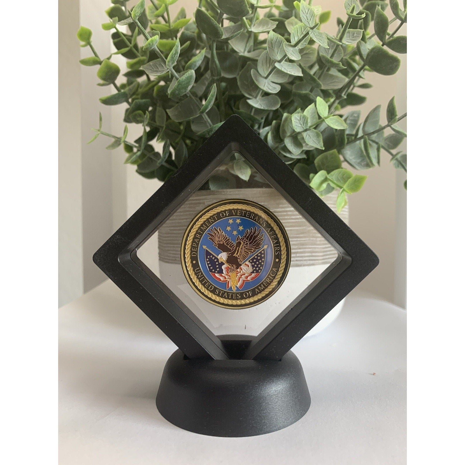United States Department of Veterans Affairs U.S. VA Challenge With 3D Case