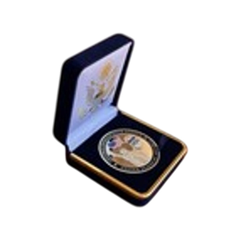 Department of Energy (DOE) Challenge Coin With Blue Velvet Case. Fast Shipping!