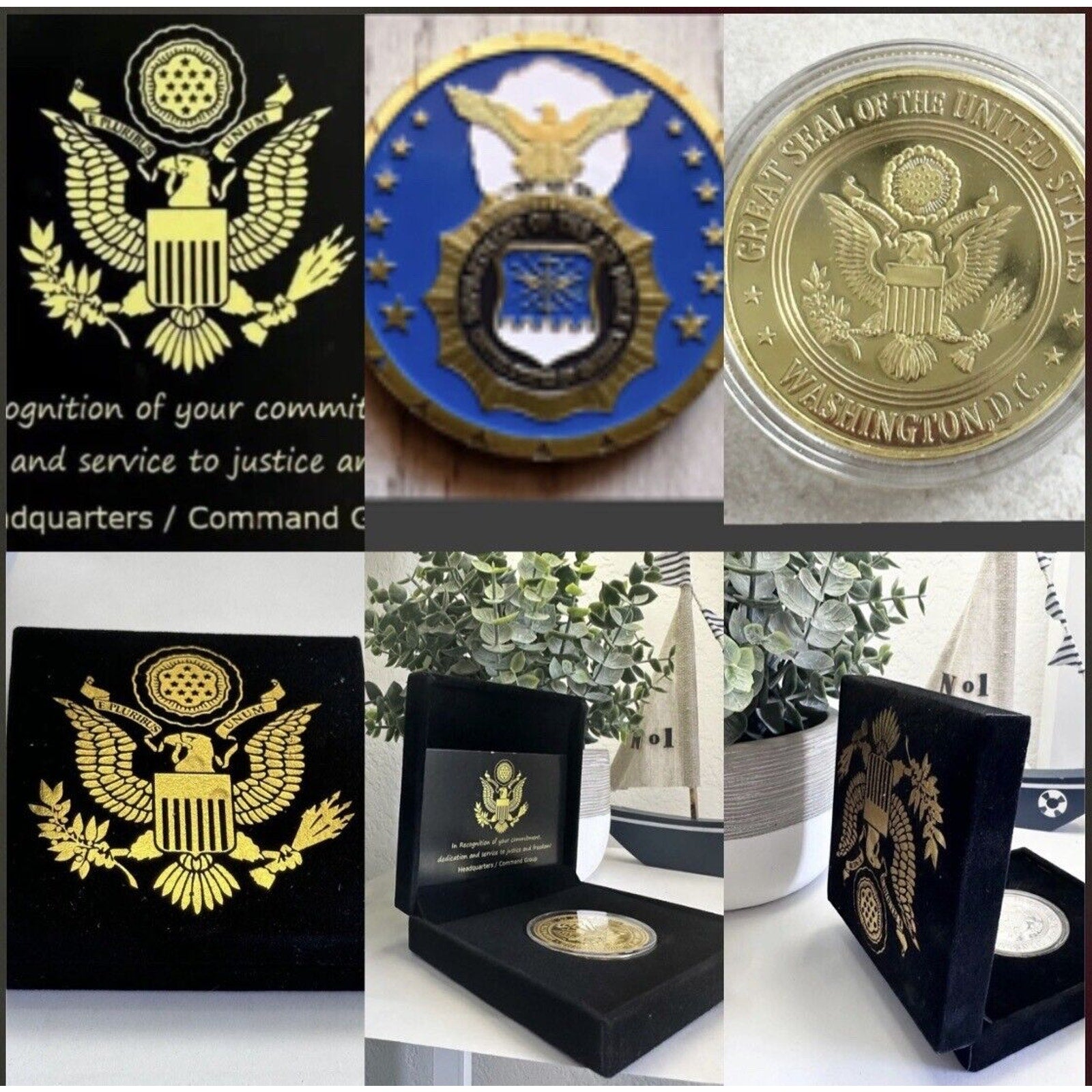 United States Air Force SECURITY FORCES Challenge Coin With Special Velvet Case
