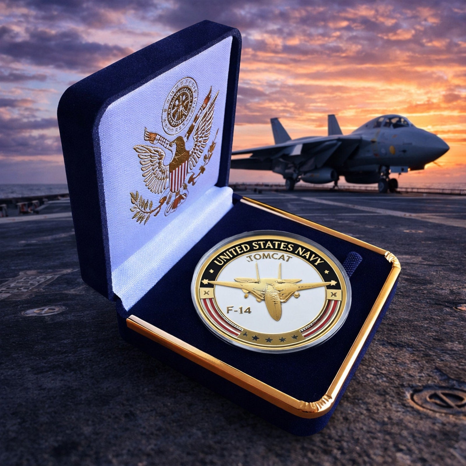 United States Navy F-14 Tomcat Challenge Coin with Case ·FAST SHIPPING· ·NEW·