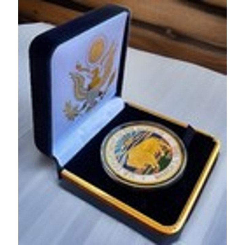 Department of Energy (DOE) Challenge Coin With Blue Velvet Case. Fast Shipping!