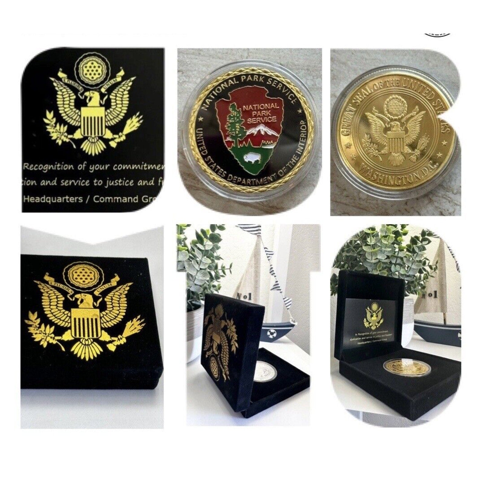 United States National Park Service Challenge Coin, New - Fast Shipping W Case