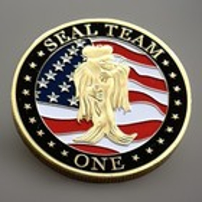Department of Energy (DOE) Challenge Coin With Blue Velvet Case. Fast Shipping!