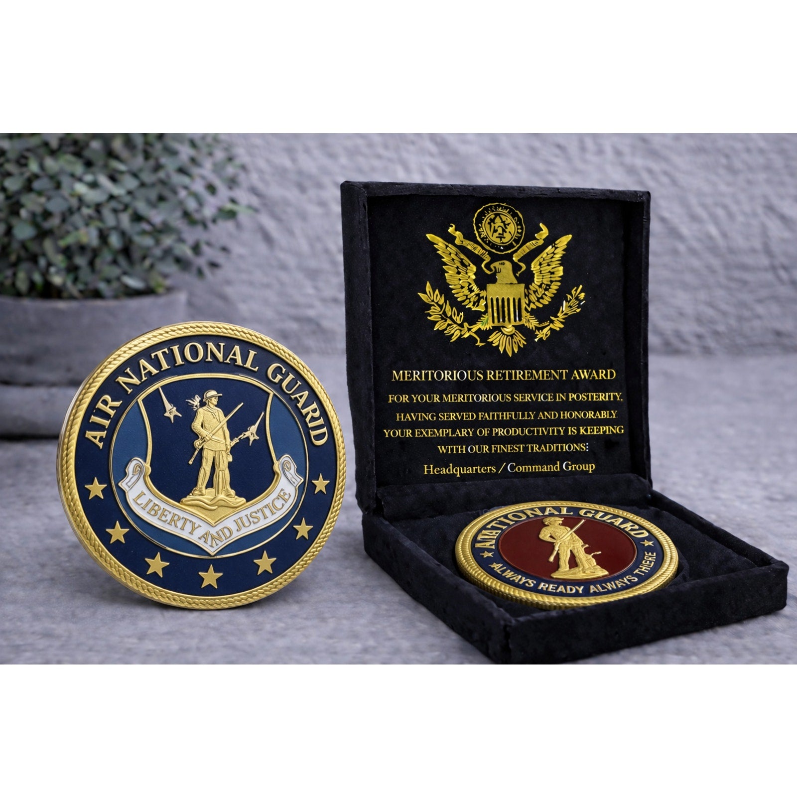US AIR NATIONAL GUARD Challenge Coin With Special Velvet Case w/ Retirement Awar