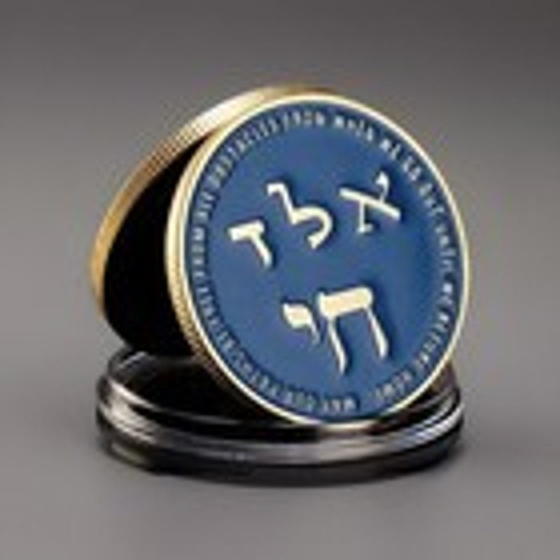 Department of Energy (DOE) Challenge Coin With Blue Velvet Case. Fast Shipping!