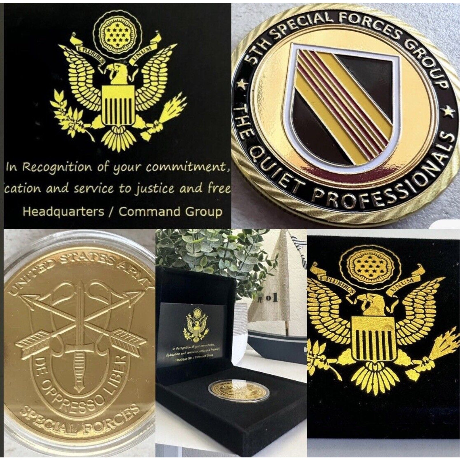 U S ARMY 5th SPECIAL FORCES GROUP (Airborne) Challenge Coin USA Amy
