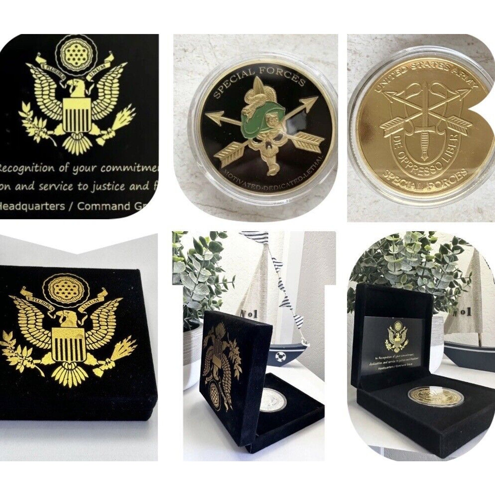 United States Army Special Forces Motivated Dedicated Lethal Coin With Case
