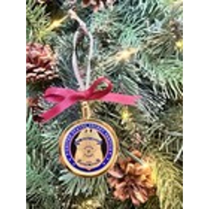 UNITED STATES SECRET SERVICE SPECIAL AGENT CHALLENGE COIN ORNAMENT. GREAT GIFT!