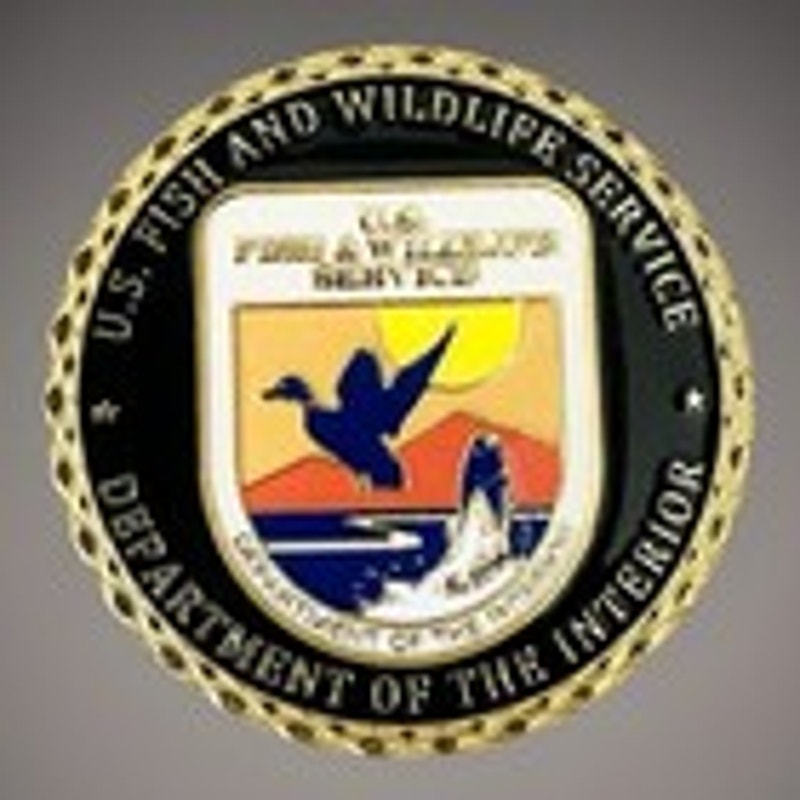 Department of Energy (DOE) Challenge Coin With Blue Velvet Case. Fast Shipping!