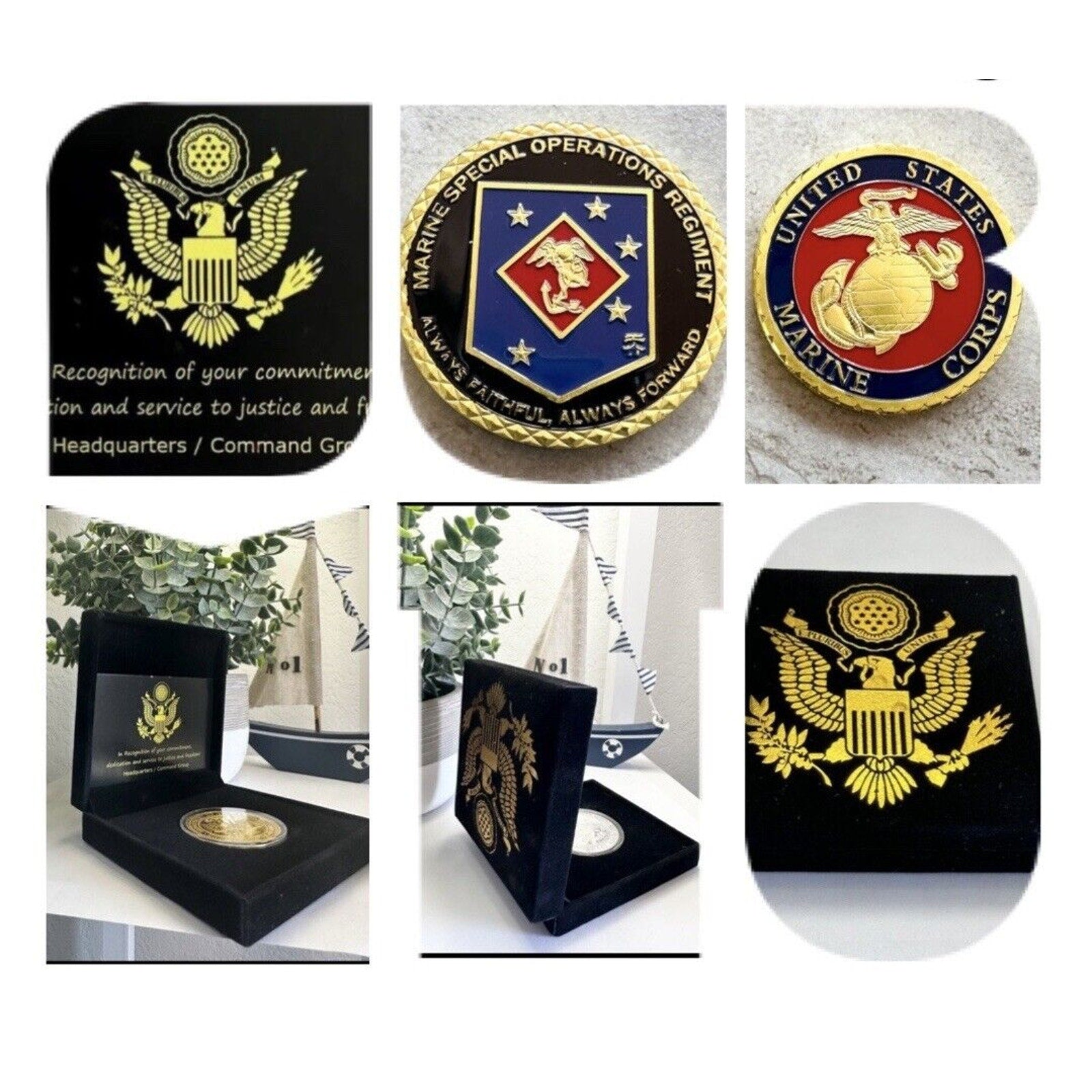 US MARINE CORPS SPECIAL OPERATIONS REGIMENT Challenge Coin With Velvet Case