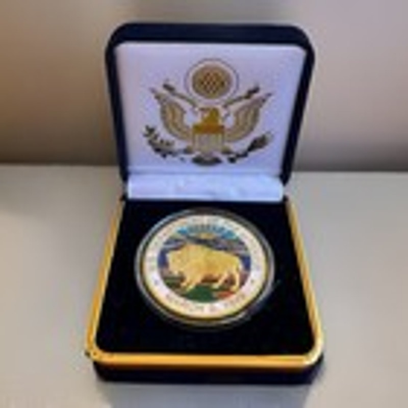 Department of Energy (DOE) Challenge Coin With Blue Velvet Case. Fast Shipping!