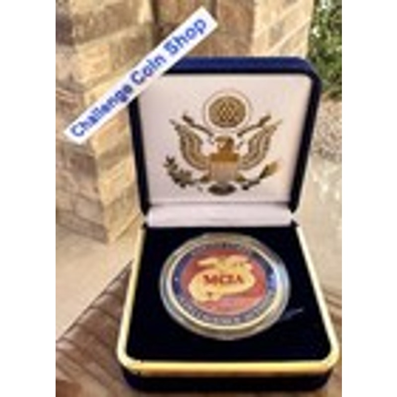 Department of Energy (DOE) Challenge Coin With Blue Velvet Case. Fast Shipping!