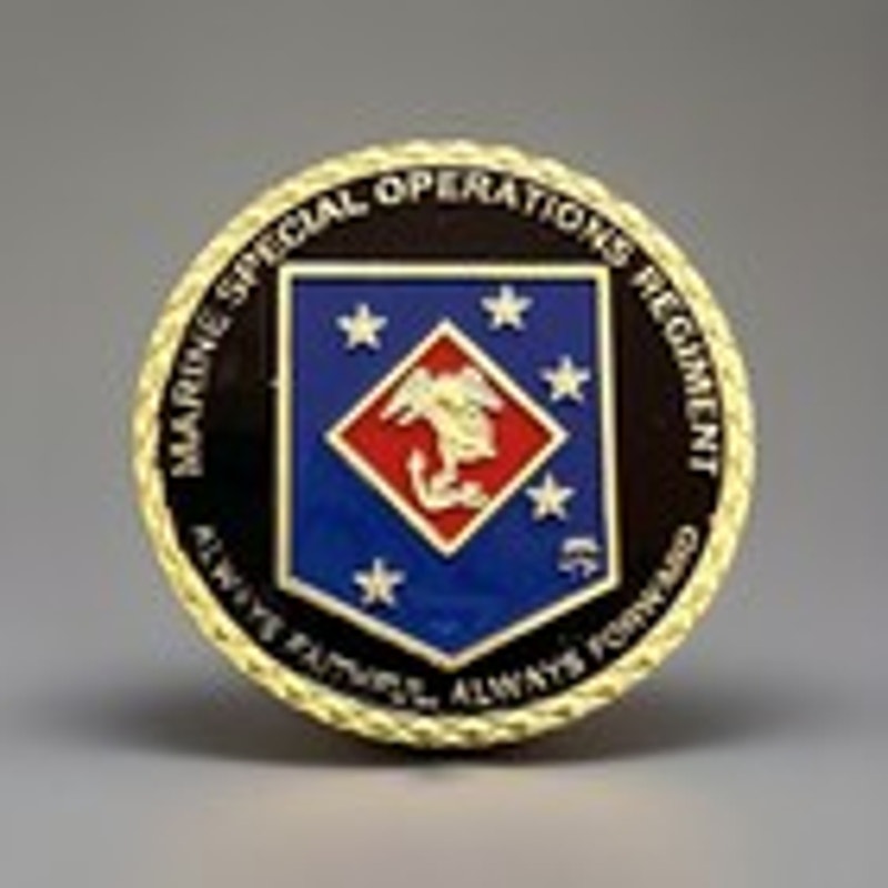 US MARINE CORPS SPECIAL OPERATIONS REGIMENT Challenge Coin Keychain.