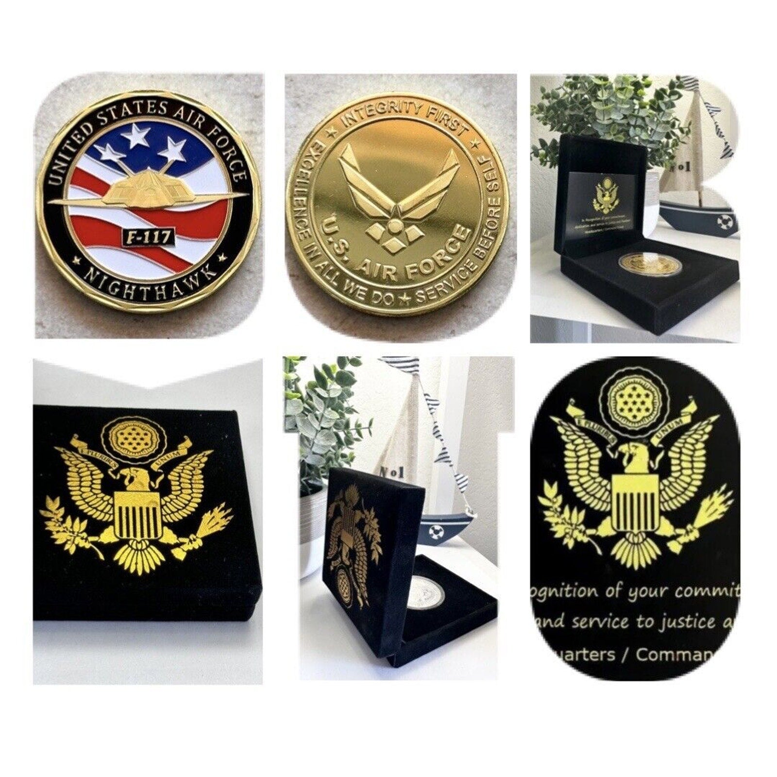 U S AIR FORCE F-117 NIGHTHAWK Challenge Coin USA With Special Velvet Case
