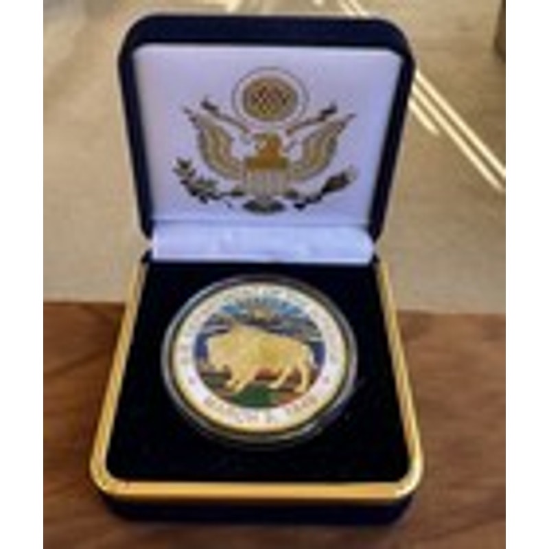 Department of Energy (DOE) Challenge Coin With Blue Velvet Case. Fast Shipping!