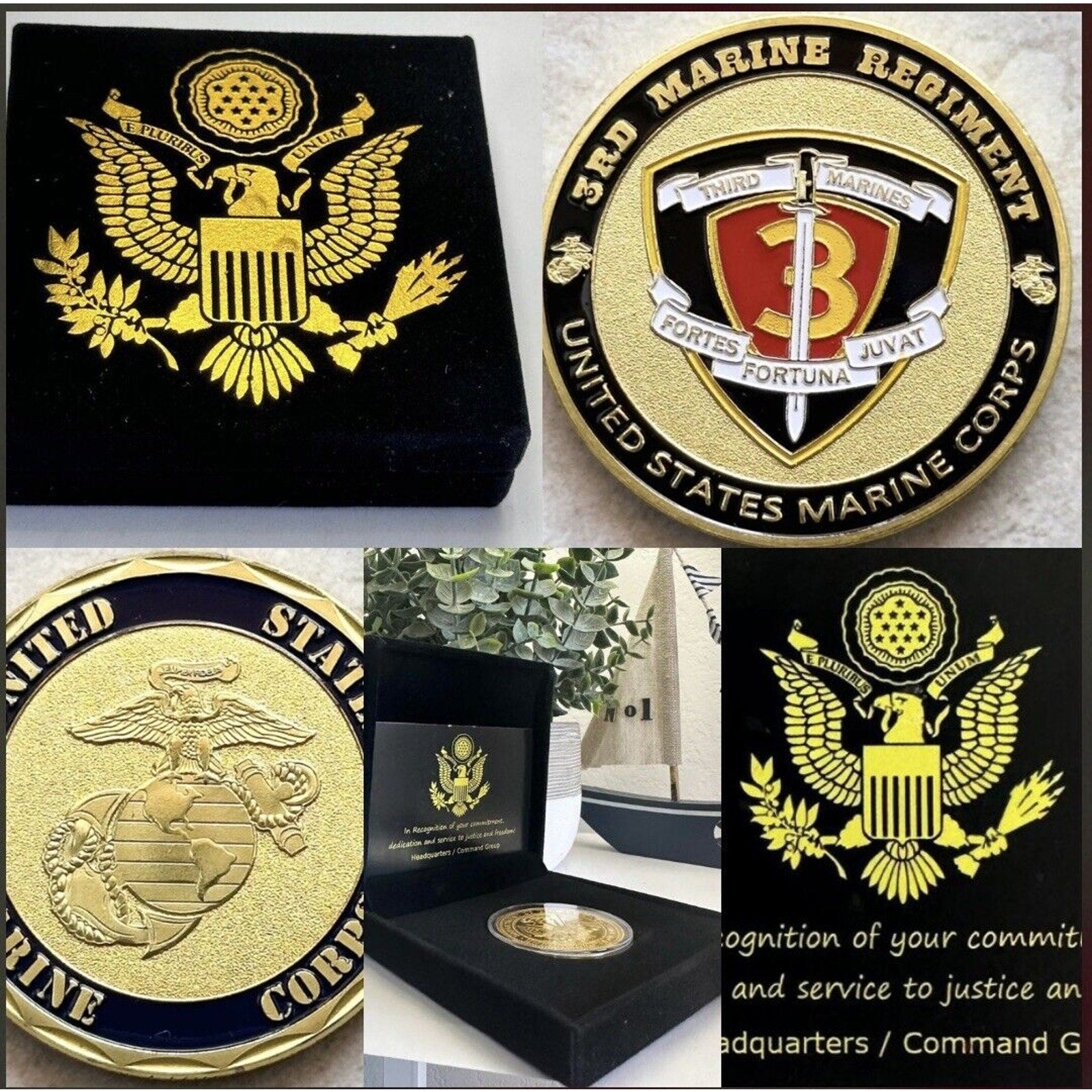 US MARINE CORPS - 3rd MARINE REGIMENT USMC Challenge Coin With Special Case