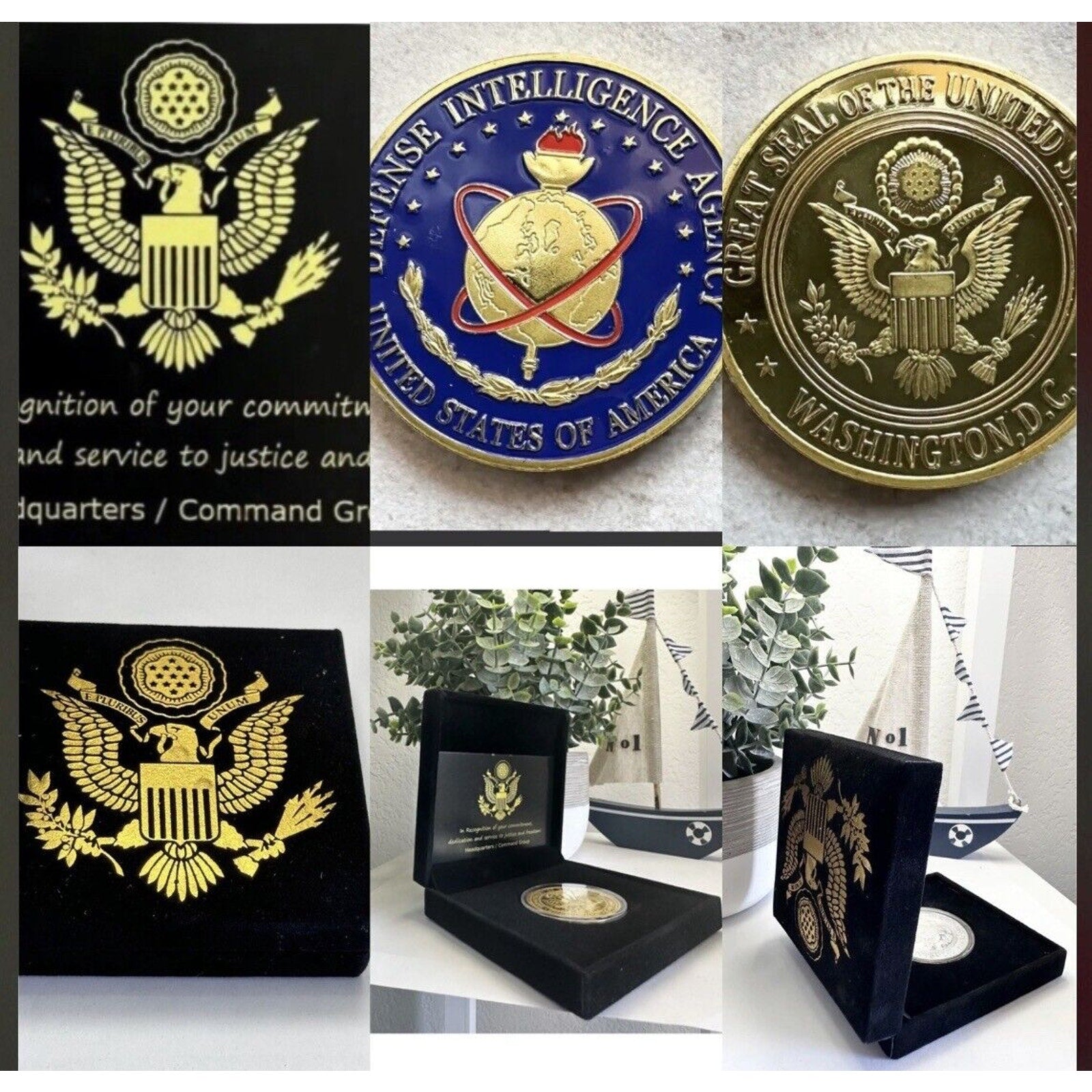 Defense Intelligence Agency (DIA) Challenge coin With Special Velvet Case USA