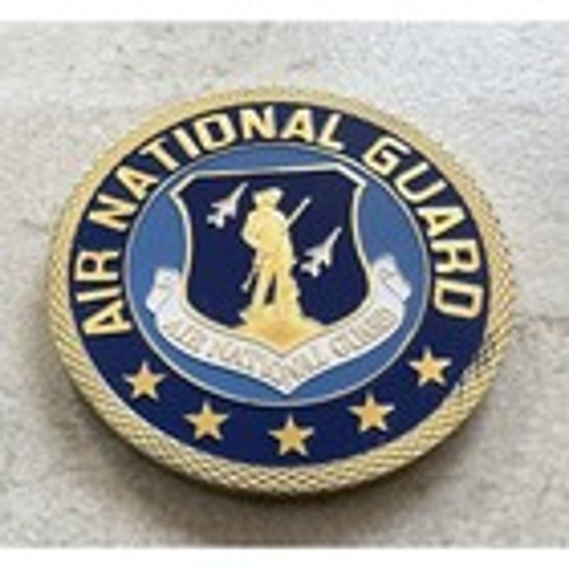US AIR NATIONAL GUARD Challenge Coin With Special Velvet Case. Fast Shipping!