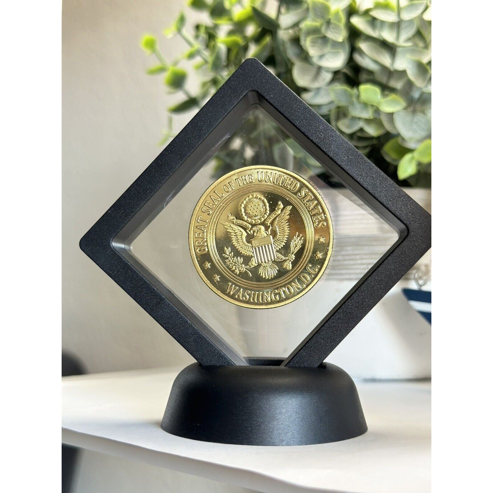 National Security Agency Challenge Coin With 3D Display Case