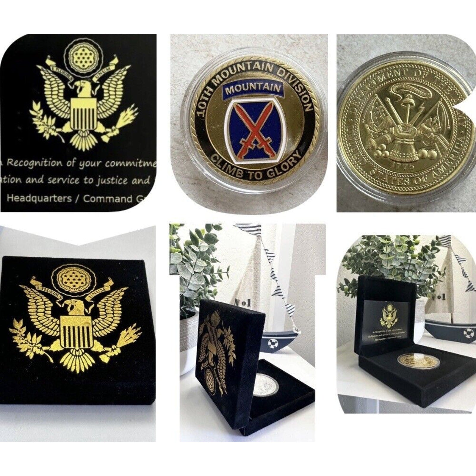 US ARMY TEN INFANTRY 10th MOUNTAIN DIVISION Challenge Coin USA AMY