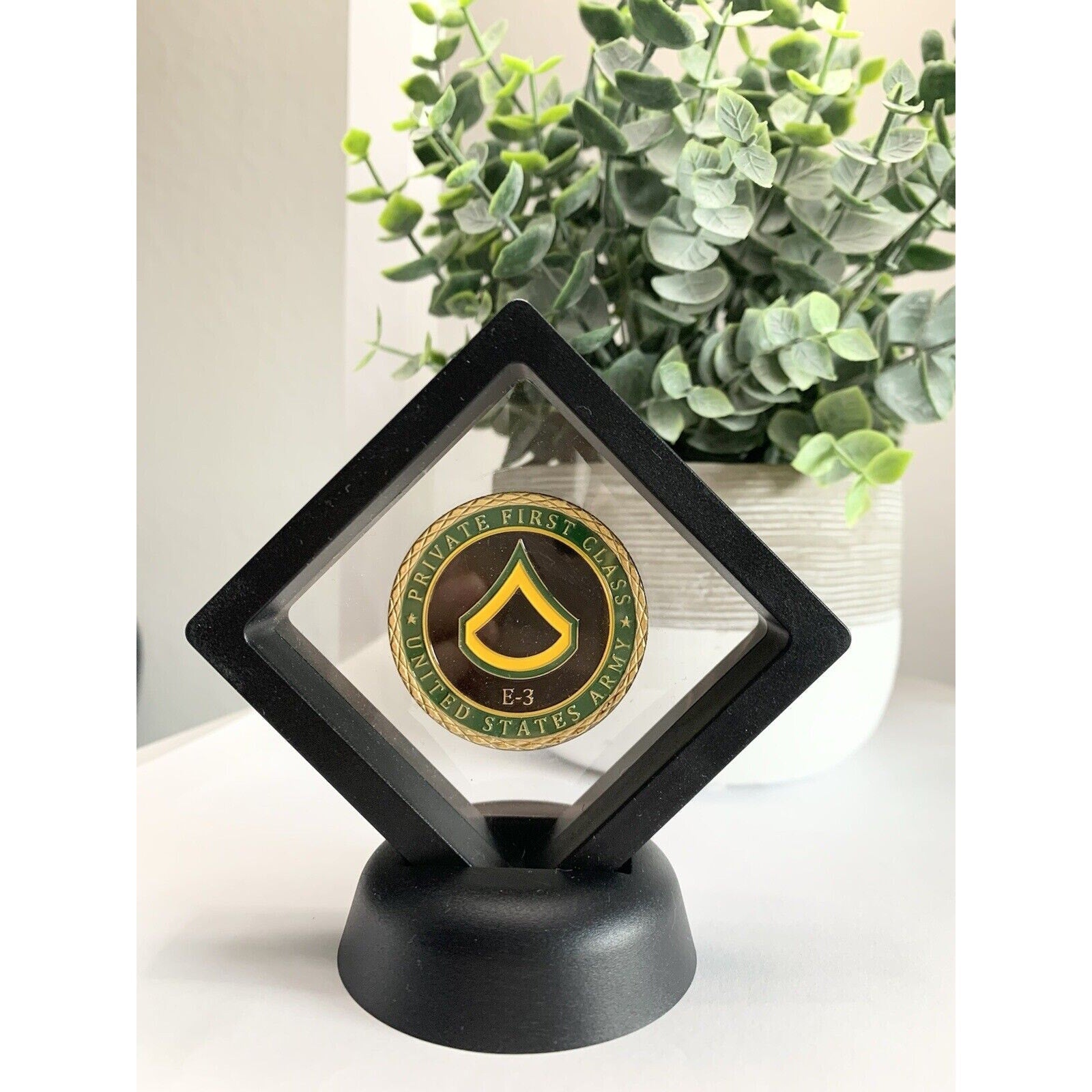 US ARMY " PRIVATE FIRST CLASS E-3 " Challenge Coin With 3D Display Case