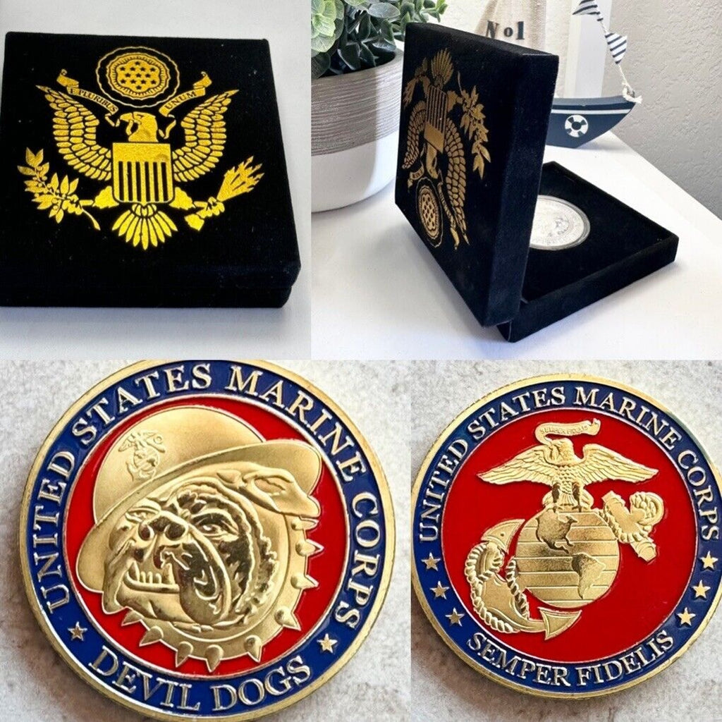 MARINE CORPS USMC SEMPER FI DEVIL DOGS CHALLENGE COIN with velvet case
