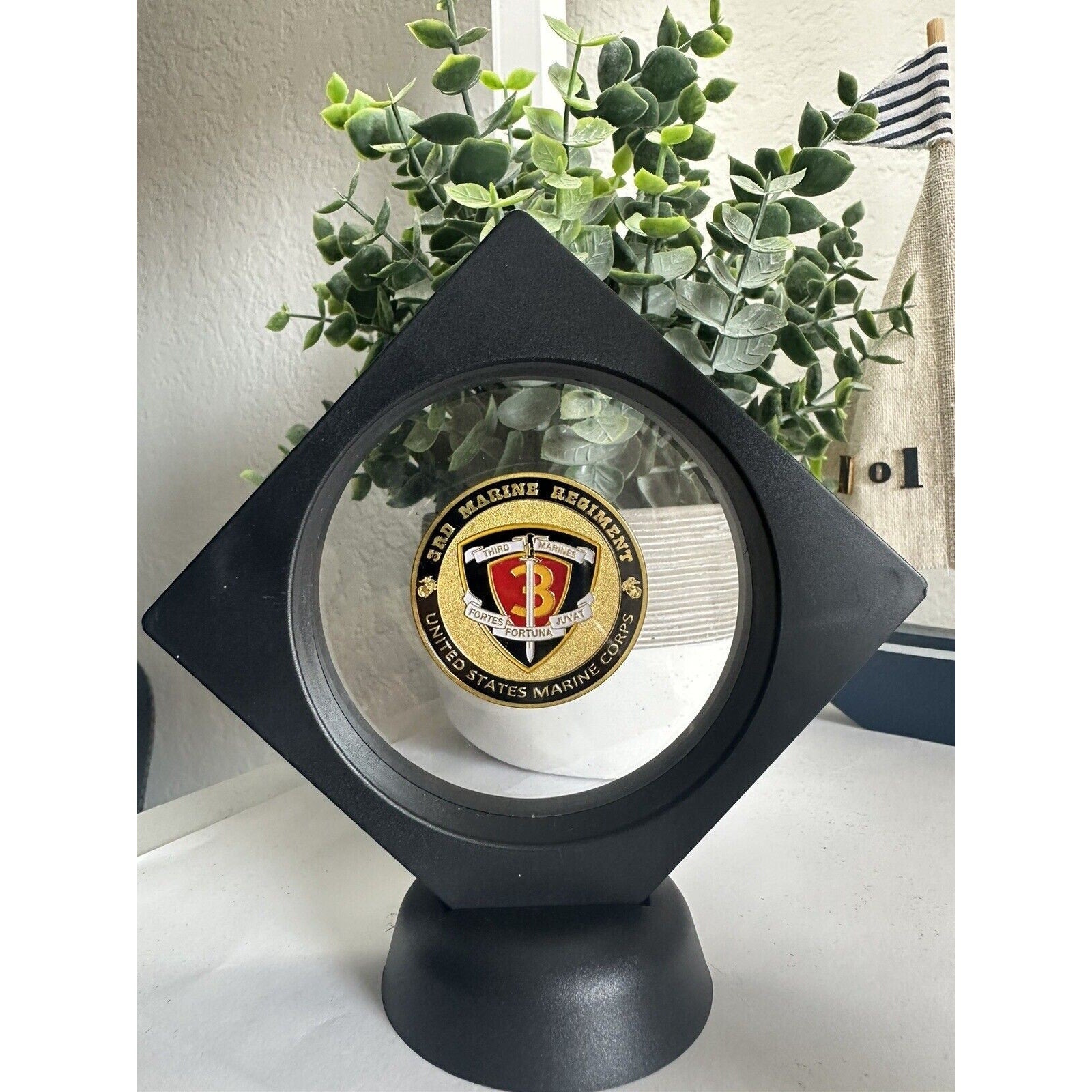 US MARINE CORPS - 3rd MARINE REGIMENT Challenge Coin With 3D Display Case