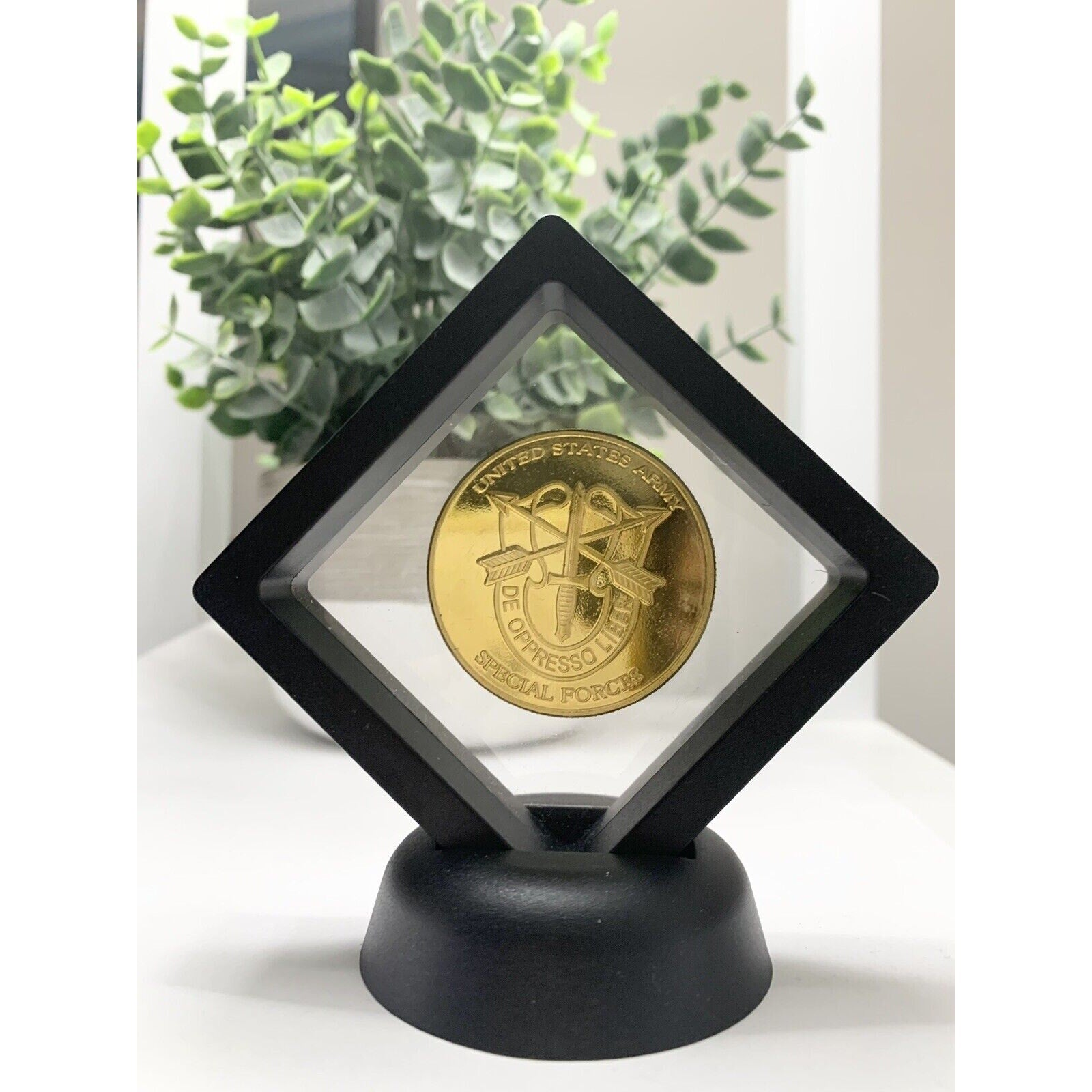 3D Floating Display US ARMY 5th SPECIAL FORCES GROUP (Airborne) Challenge Coin