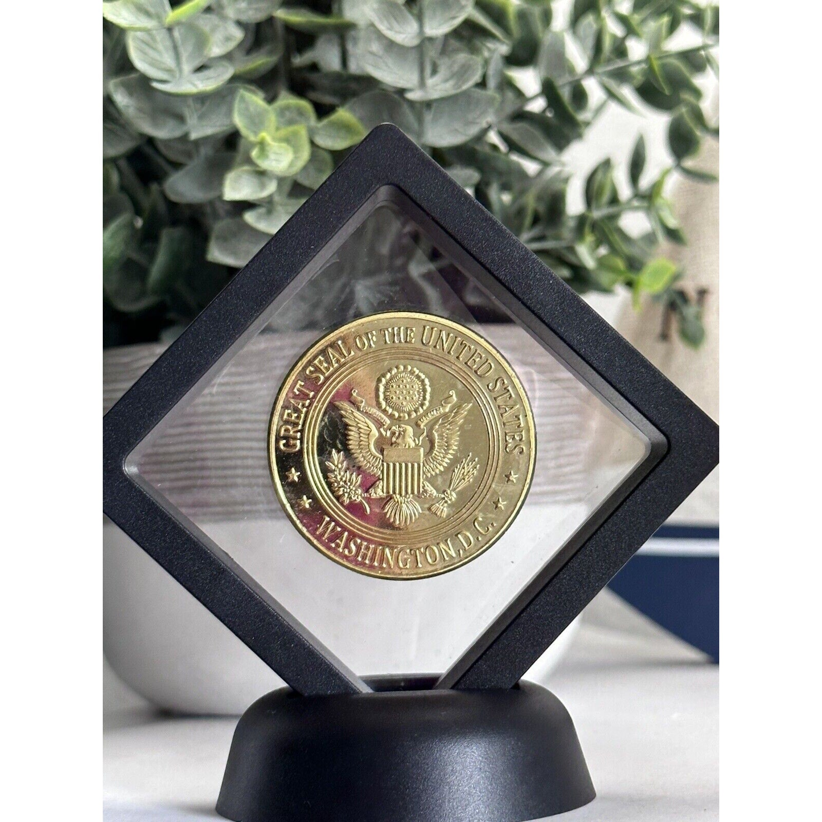 Defense Criminal Investigative Service Challenge Coin With 3D Display Case