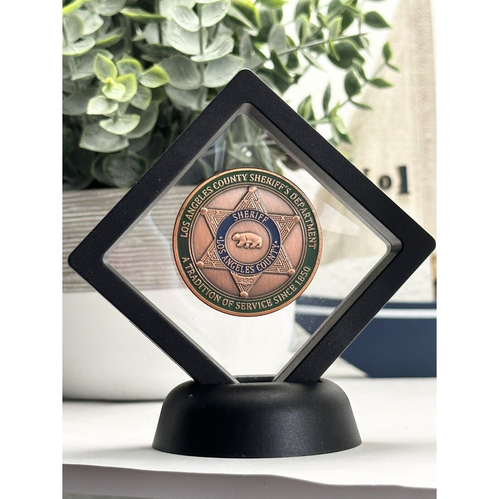 LOS ANGELES COUNTY SHERIFF'S DEPARTMENT COPPER SE Challenge Coin 40mm New !!!!