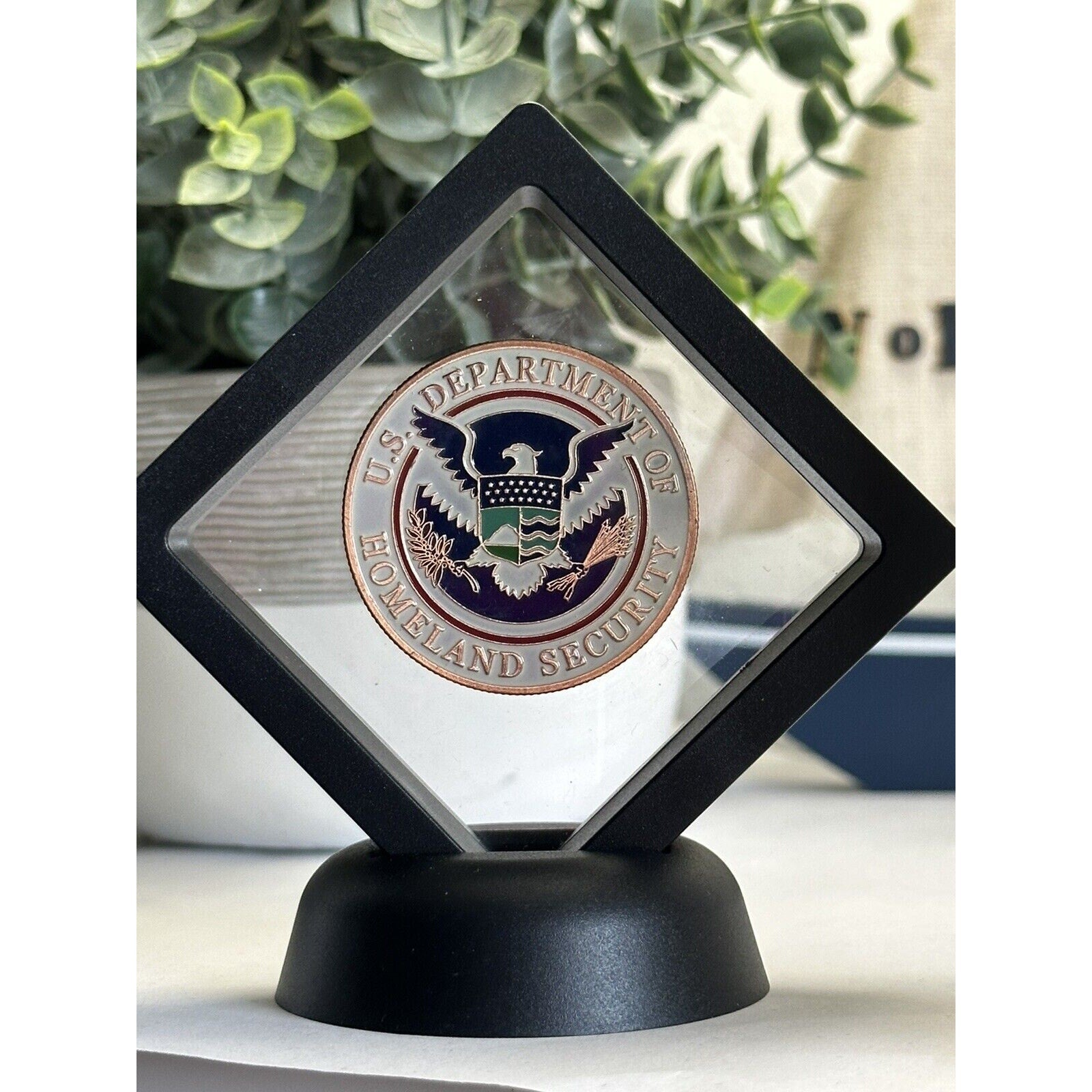 US Department Of Home land Security Challenge Coin With 3D Display Case