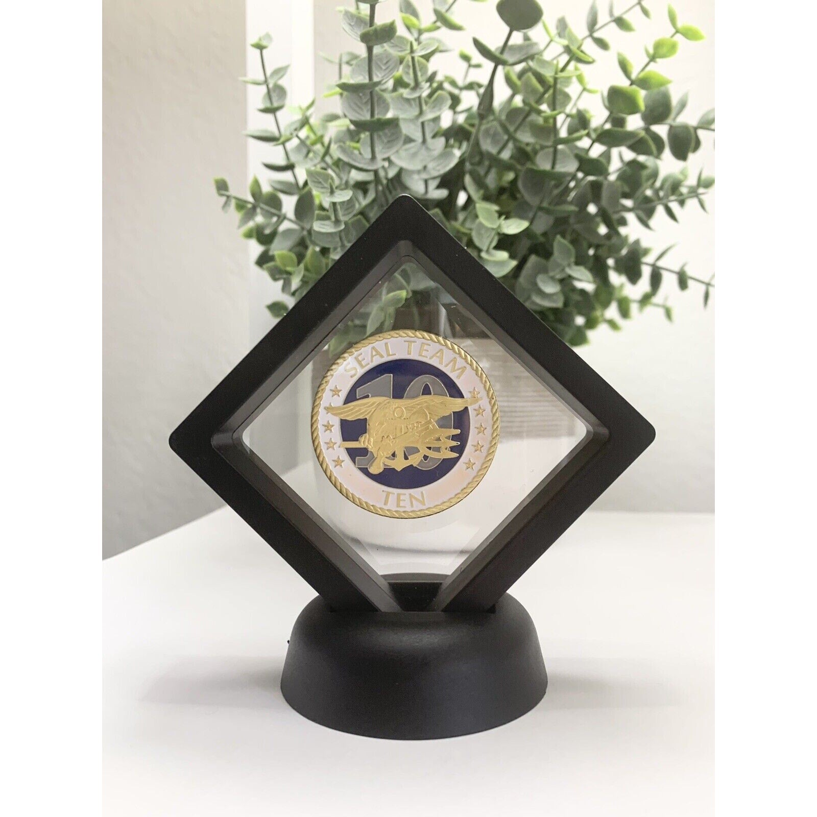 US Navy - Navy SEAL Team Ten 10 Challenge Coin With 3D Floating Case