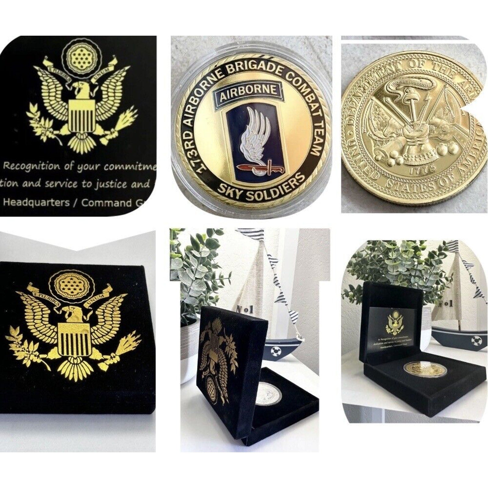 173 Rd AIRBORNE BRIGADE-Sky Soldiers Challenge Coin USA -Army
